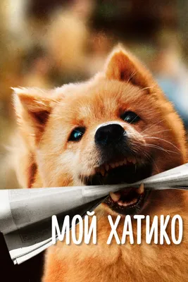 В Японии отмечают сто лет со дня рождения пса Хатико - РИА Новости,  11.11.2023