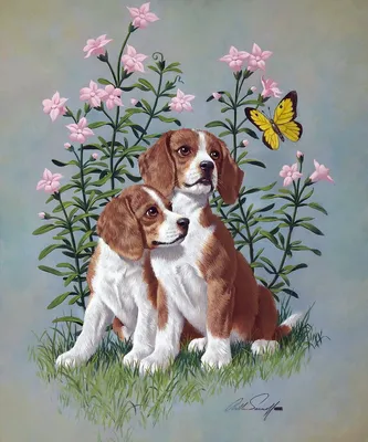 Картинки собачка дарит цветы (69 фото) » Картинки и статусы про окружающий  мир вокруг