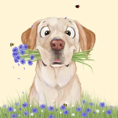 Собака с цветами в зубах - 72 фото