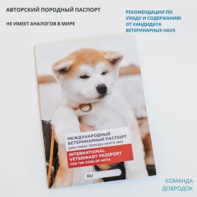Ветеринарный паспорт для собак Украина: как заполнять ветеринарный документ  щенка (все развороты) - YouTube
