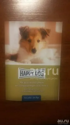 Обложка на ветеринарный паспорт \"Международный ветеринарный паспорт\", для  собак, для кошек, ПВХ - купить с доставкой по выгодным ценам в  интернет-магазине OZON (957007056)