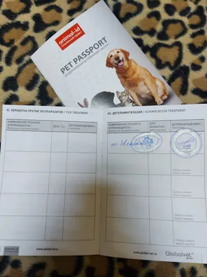 Купить ветеринарный паспорт для собаки в Москве быстро и по выгодной цене -  Справки онлайн
