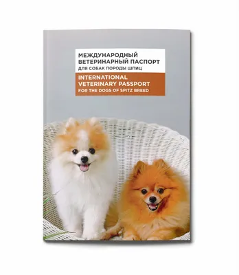 Ветеринарный паспорт для собаки | Hill's