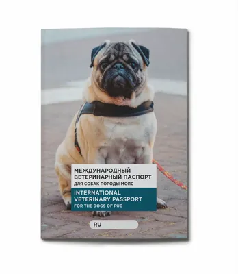 Пижон Ветеринарный паспорт питомца ветпаспорт