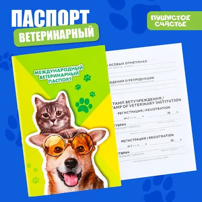 Ветеринарный паспорт для собаки – что это и как сделать ветпаспорт?
