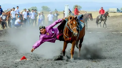 Ноги двух спортивных лошадей, скапливающихся вокруг арены Стоковое  Изображение - изображение насчитывающей копытно, ранчо: 159784039