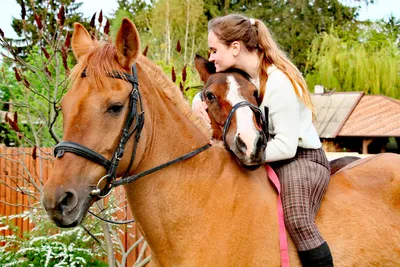 ippomin active,витаминно-минеральный комплекс для спортивных лошадей