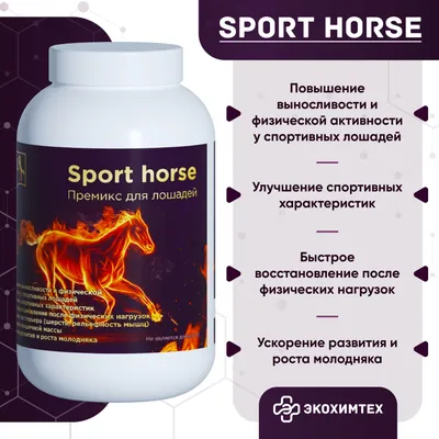 Аренда спортивных лошадей в Москве и Московской области | КСК «Колибри»