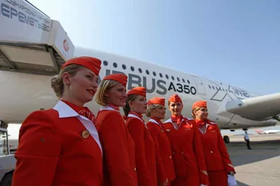 Опасный предмет в самолете - стюардесса сделала предупреждение | РБК Украина