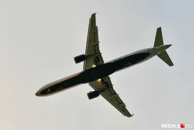 Обреченный рейс? Самолет в Непале вела вдова разбившегося раньше пилота |  Происшествия | Аргументы и Факты