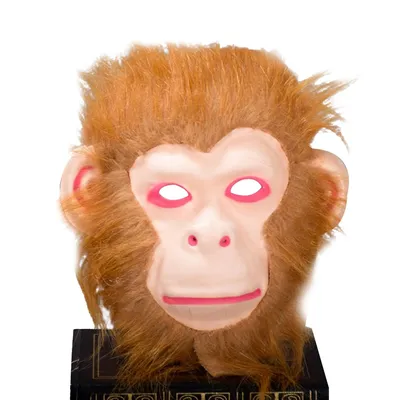 Страшная макака Barbary или обезьяна Gibralter, Sylvanus Macaca Стоковое  Фото - изображение насчитывающей слепимость, назначение: 77040996