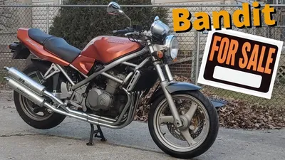 Suzuki Bandit: The best bang for buck buy on the planet? – INFO MOTO