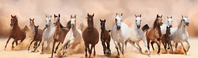 Табун лошадей в степи уезда Чжаосу в Синьцзяне - CGTN на русском