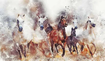 Ризабеку Айтмухану подарили табун лошадей - Insport - казахстанское  спортивное телевидение