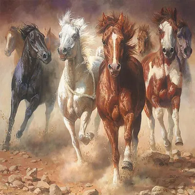 Табун лошадей в поле стоковое изображение. изображение насчитывающей  млекопитающее - 64997903