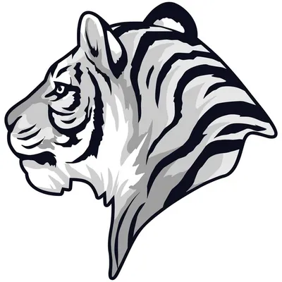 Черно-белое изображение тигра в высококачественном Стоковое Изображение -  изображение насчитывающей одно, парк: 122819119