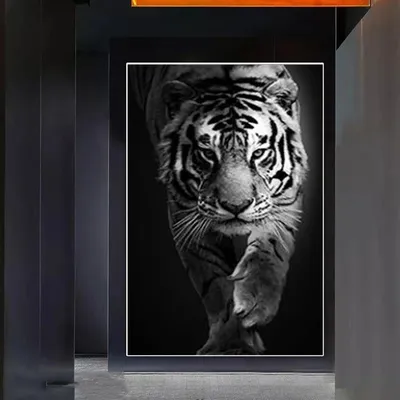 Тигр чёрно белый - красивые фото
