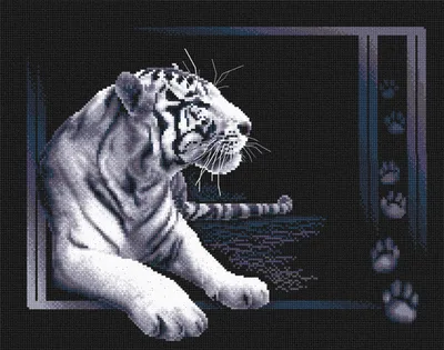 белый тигр рисунок в черно белом, рисунок тигра, животное, дикая природа  фон картинки и Фото для бесплатной загрузки