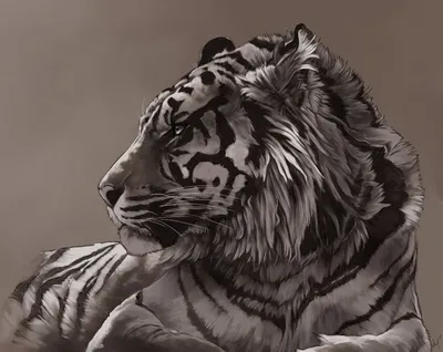 Тигр фото реализм черно-белая …» — создано в Шедевруме