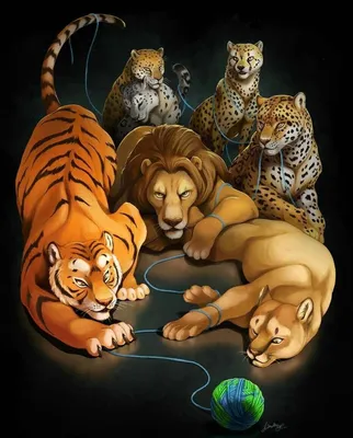 Вектор льва и тигра иллюстрация штока. иллюстрации насчитывающей  художничества - 151451798