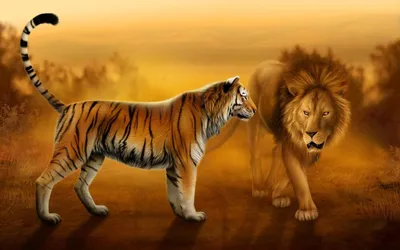Смесь тигра и Льва - 71 фото