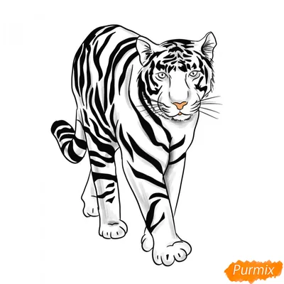 Амурский тигр в стиле Животные на Illustrators.ru