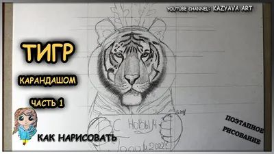 Голова тигра рисунок карандашом» — создано в Шедевруме