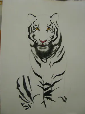 Рисунок карандашом: Портрет тигра…» — создано в Шедевруме