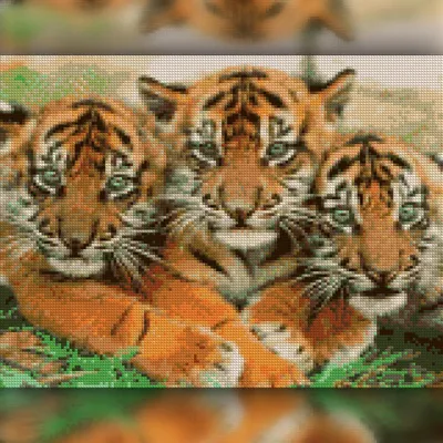 Маленький Тигр Стоковые Фотографии | FreeImages