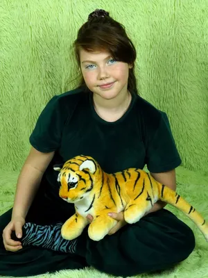 Домашний тигр - картинки и фото koshka.top