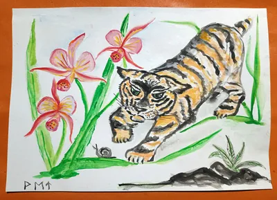 Маленький тигр - Животные - Раскраски антистресс