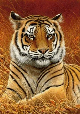 Тигрицы на аватарку - картинки и фото koshka.top