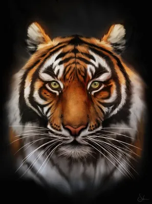 Аватарка с тигром - фото и картинки abrakadabra.fun