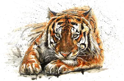 Постер \"Тигр на белом фоне\" - купить в интернет-магазине Ink-project с  быстрой доставкой