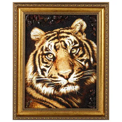 Конец по изолированному большой тигра на черном фоне Стоковое Фото -  изображение насчитывающей выражение, пантера: 184040058