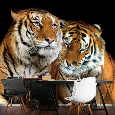 Обои на телефон | Фотографии животных, Животные, Тигровый рисунок