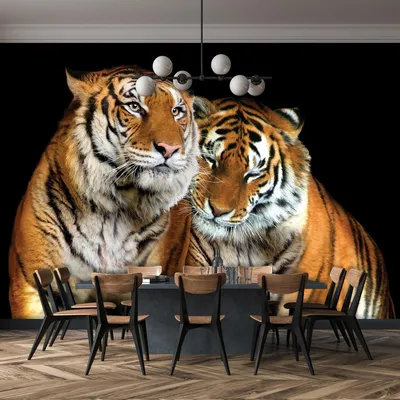 Флизелиновые фотообои 3д животные 416x290 см Два тигра на черном фоне  (10173VEXXXXL) +клей купить по цене 2760,00 грн