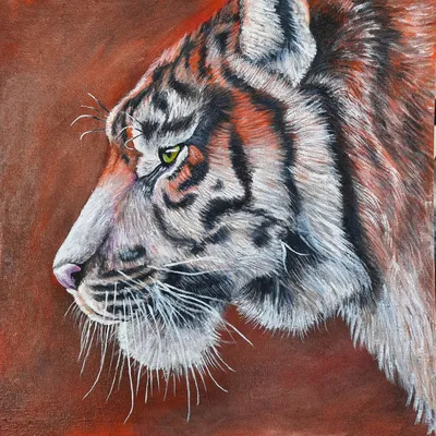 Логотип амурский тигр зеленые глаза …» — создано в Шедевруме