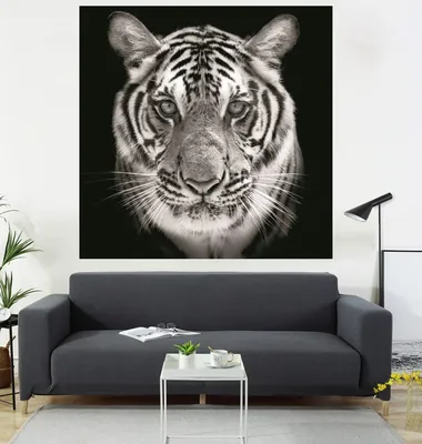 изображение морды тигра на черном фоне, Китайский зодиакальный год тигра  2022, Hd фотография фото, бенгальский тигр фон картинки и Фото для  бесплатной загрузки