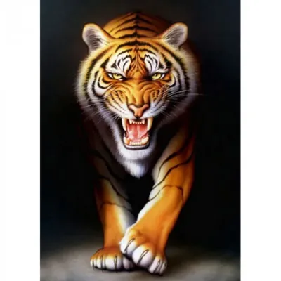 Лунный Глаз: Белый Тигр на Черном Фоне - Ozero - российский фотосток