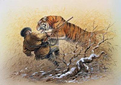 Охота на тигра | Lion painting, Hunting art, Wildlife paintings