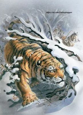 Картина на холсте \"Тигр на охоте\"