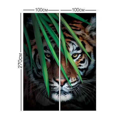 Фотограф сделал серию снимков охоты тигров на птицу