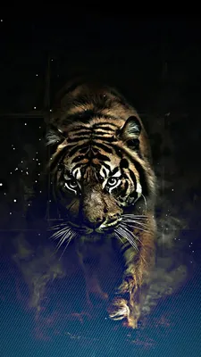 Фон для телефона тигр - фото и картинки abrakadabra.fun