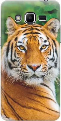 Силиконовый чехол Портрет тигра на Samsung Galaxy J2 Prime / Самсунг Джей 2  Прайм - купить с доставкой по выгодным ценам в интернет-магазине OZON  (294177798)