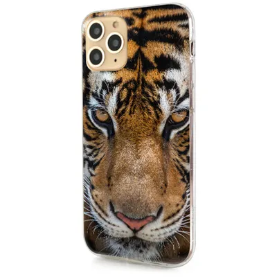 Белый тигр обои для Андроид Full HD, лучшие 1080x1920 заставки на телефон |  Akspic
