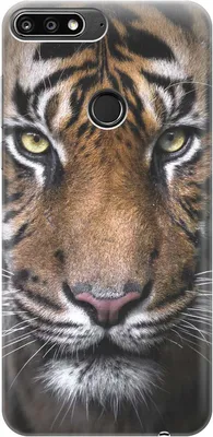Пасть удивлённого индийского тигра | Обои для телефона