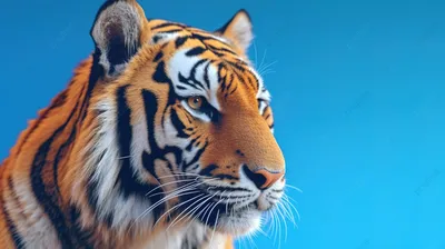крупным планом трехмерная иллюстрация тигра, белый тигр, хищник, злое  животное фон картинки и Фото для бесплатной загрузки