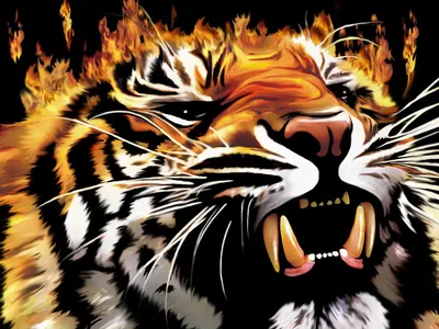 Скачать 1920x1080 сибирский тигр, тигр, хищник, большая кошка, берег, трава  обои, картинки full hd, hdtv, fhd, 1080p
