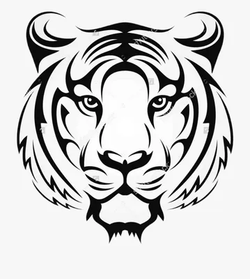Рисунок Тигра Ручной Эскиз Дикой Кошки — стоковая векторная графика и  другие изображения на тему Тигр - Тигр, Набросок, Раскрашивать - iStock